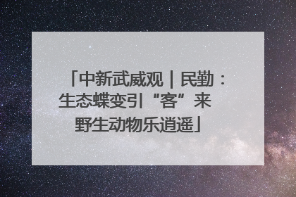 中新武威观｜民勤：生态蝶变引“客”来 野生动物乐逍遥