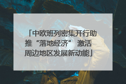 中欧班列密集开行助推“落地经济” 激活周边地区发展新动能