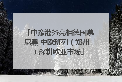 中豫港务亮相德国慕尼黑 中欧班列（郑州）深耕欧亚市场
