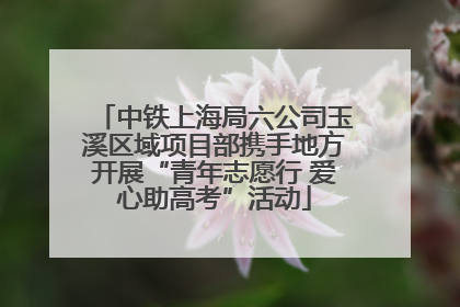 中铁上海局六公司玉溪区域项目部携手地方开展“青年志愿行 爱心助高考”活动
