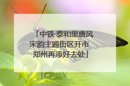 中铁·泰和里唐风宋韵主题街区开市 郑州再添好去处