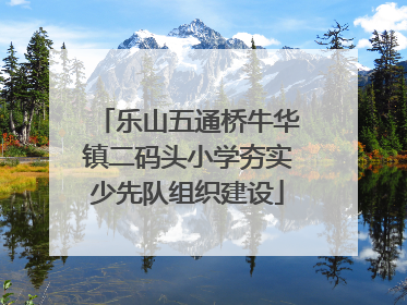 乐山五通桥牛华镇二码头小学夯实少先队组织建设
