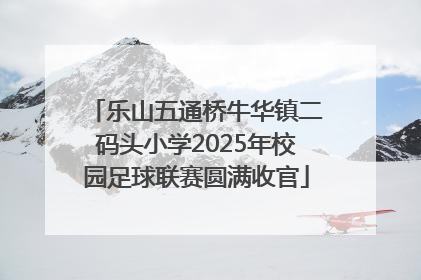 乐山五通桥牛华镇二码头小学2025年校园足球联赛圆满收官