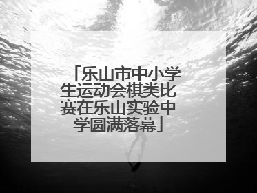 乐山市中小学生运动会棋类比赛在乐山实验中学圆满落幕