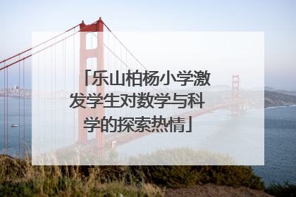 乐山柏杨小学激发学生对数学与科学的探索热情