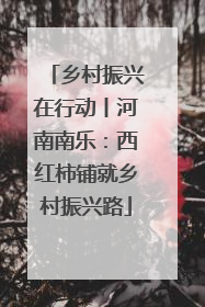 乡村振兴在行动丨河南南乐：西红柿铺就乡村振兴路