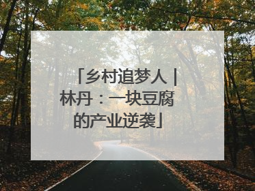 乡村追梦人｜林丹：一块豆腐的产业逆袭
