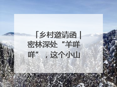 乡村邀请函｜密林深处“羊咩咩”，这个小山村如何逆袭？