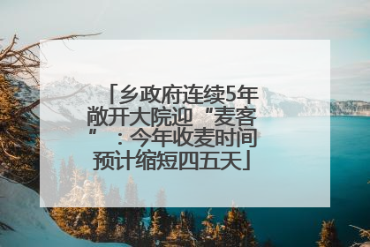 乡政府连续5年敞开大院迎“麦客”：今年收麦时间预计缩短四五天