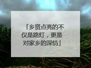 乡贤点亮的不仅是路灯，更是对家乡的深情
