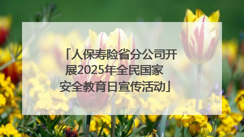 人保寿险省分公司开展2025年全民国家安全教育日宣传活动