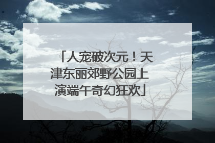 人宠破次元！天津东丽郊野公园上演端午奇幻狂欢