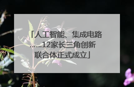 人工智能、集成电路……12家长三角创新联合体正式成立