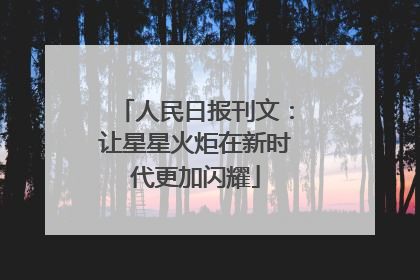 人民日报刊文：让星星火炬在新时代更加闪耀