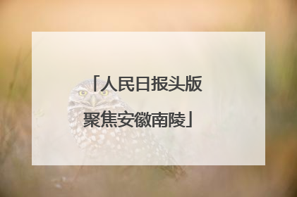 人民日报头版聚焦安徽南陵