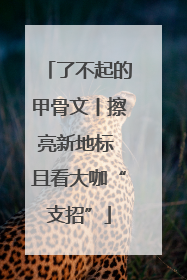 了不起的甲骨文丨擦亮新地标 且看大咖“支招”