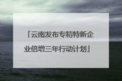 云南发布专精特新企业倍增三年行动计划
