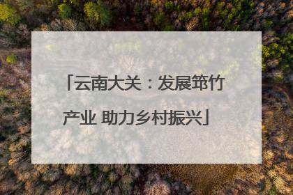 云南大关：发展筇竹产业 助力乡村振兴