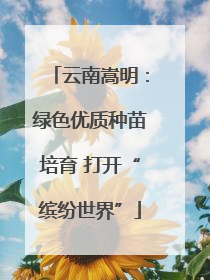 云南嵩明：绿色优质种苗培育 打开“缤纷世界”