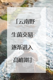 云南野生菌交易逐渐进入高峰期