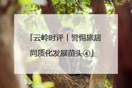 云岭时评丨警惕旅居同质化发展苗头④