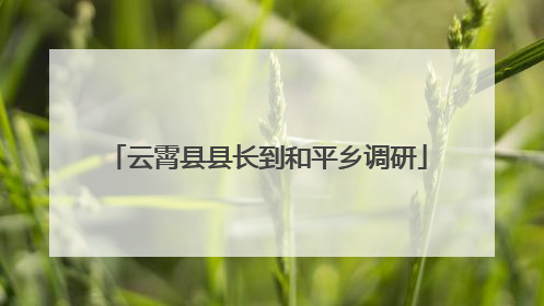 云霄县县长到和平乡调研