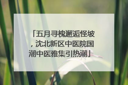 五月寻槐邂逅怪坡，沈北新区中医院国潮中医雅集引热潮