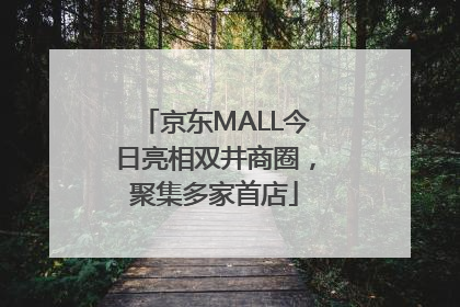 京东MALL今日亮相双井商圈，聚集多家首店