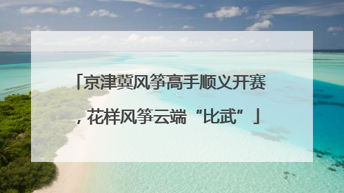 京津冀风筝高手顺义开赛，花样风筝云端“比武”