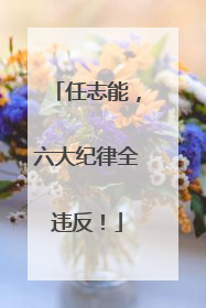 任志能，六大纪律全违反！