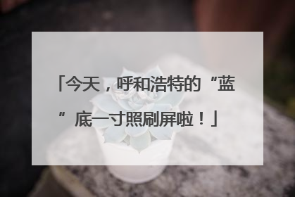 今天，呼和浩特的“蓝”底一寸照刷屏啦！