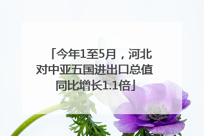 今年1至5月，河北对中亚五国进出口总值同比增长1.1倍