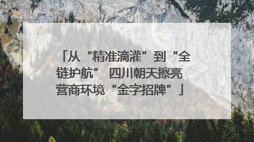 从“精准滴灌”到“全链护航” 四川朝天擦亮营商环境“金字招牌”
