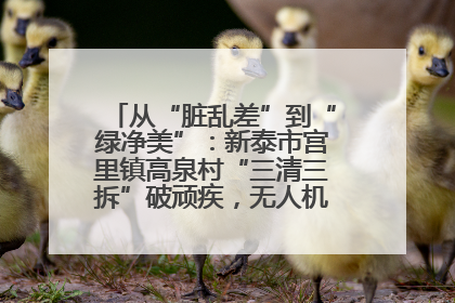 从“脏乱差”到“绿净美”：新泰市宫里镇高泉村“三清三拆”破顽疾，无人机“天眼”护新颜