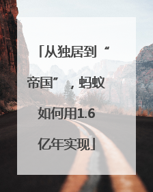 从独居到“帝国”，蚂蚁如何用1.6亿年实现
