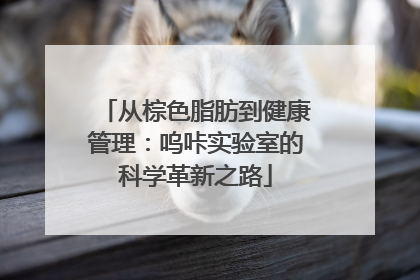 从棕色脂肪到健康管理：呜咔实验室的科学革新之路
