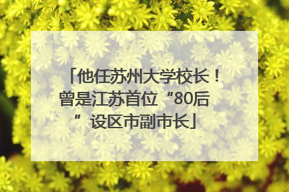 他任苏州大学校长！曾是江苏首位“80后”设区市副市长