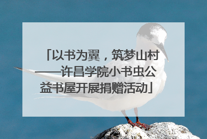 以书为翼，筑梦山村——许昌学院小书虫公益书屋开展捐赠活动