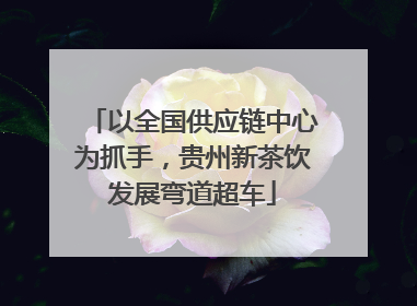 以全国供应链中心为抓手，贵州新茶饮发展弯道超车