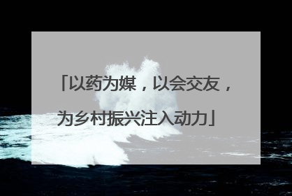 以药为媒，以会交友，为乡村振兴注入动力