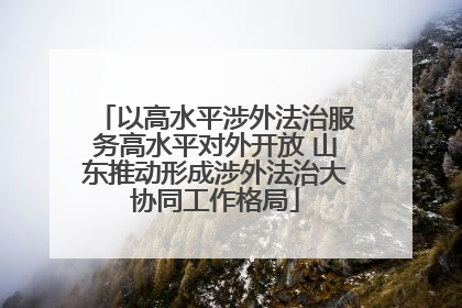 以高水平涉外法治服务高水平对外开放 山东推动形成涉外法治大协同工作格局
