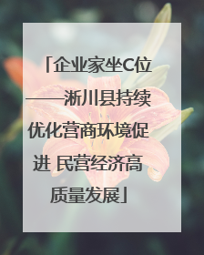企业家坐C位——淅川县持续优化营商环境促进 民营经济高质量发展