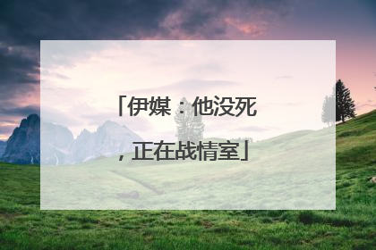 伊媒：他没死，正在战情室