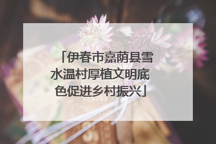 伊春市嘉荫县雪水温村厚植文明底色促进乡村振兴