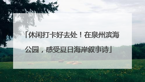 休闲打卡好去处！在泉州滨海公园，感受夏日海岸叙事诗