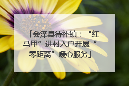 会泽县待补镇：“红马甲”进村入户开展“零距离”暖心服务