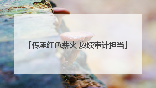 传承红色薪火 赓续审计担当