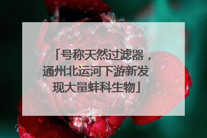 号称天然过滤器，通州北运河下游新发现大量蚌科生物