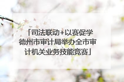 司法联动+以赛促学 德州市审计局举办全市审计机关业务技能竞赛
