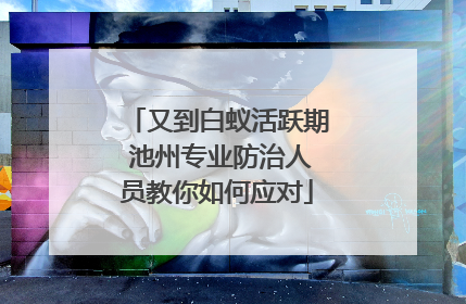 又到白蚁活跃期 池州专业防治人员教你如何应对